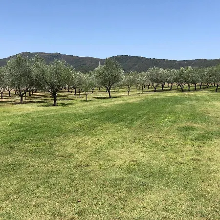 بيت ضيافة Borgo Albador 4*